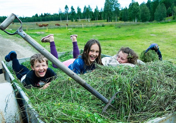 Life on the farm in Västerbotten, Sweden. Fotograf Paul Marshall